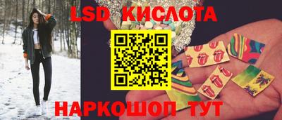 прущие грибы Кулебаки