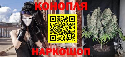 прущие грибы Кулебаки