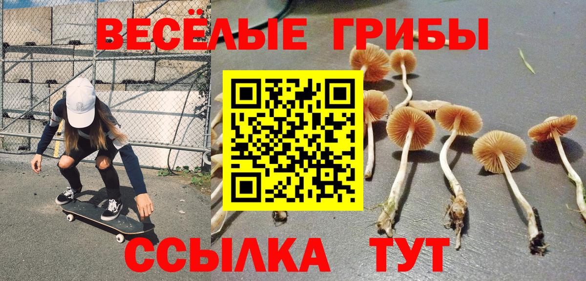 Галлюциногенные грибы Cubensis  Вход с VPN  Галлюциногенные грибы GOLDEN TEACHER  Ижевск 